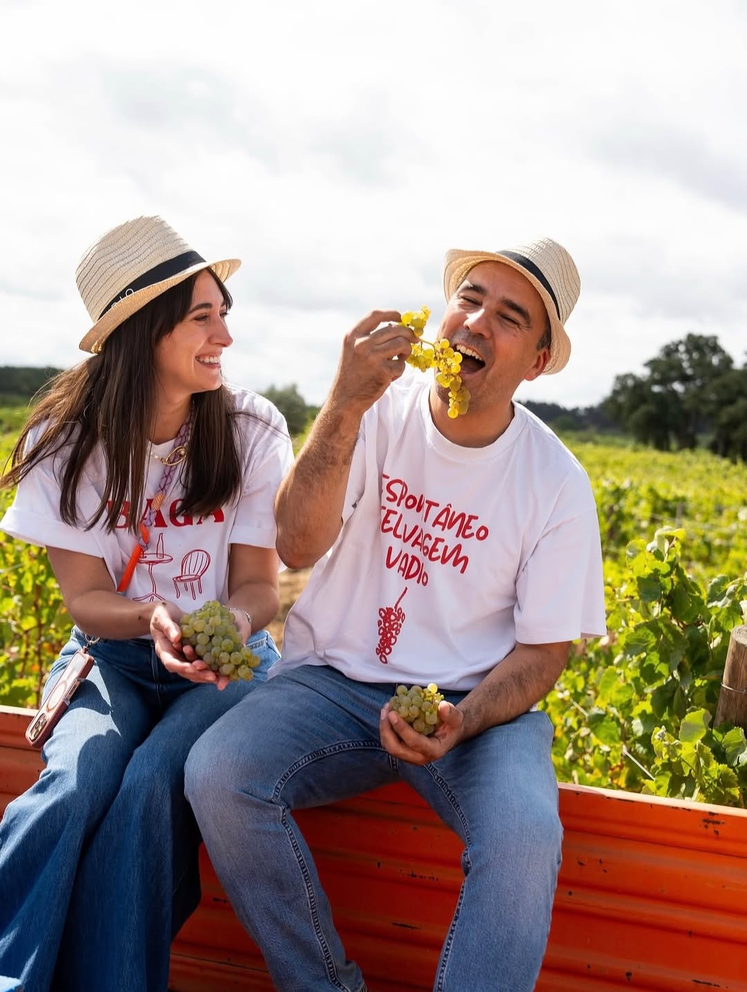 Alba bistro Lisbon experience