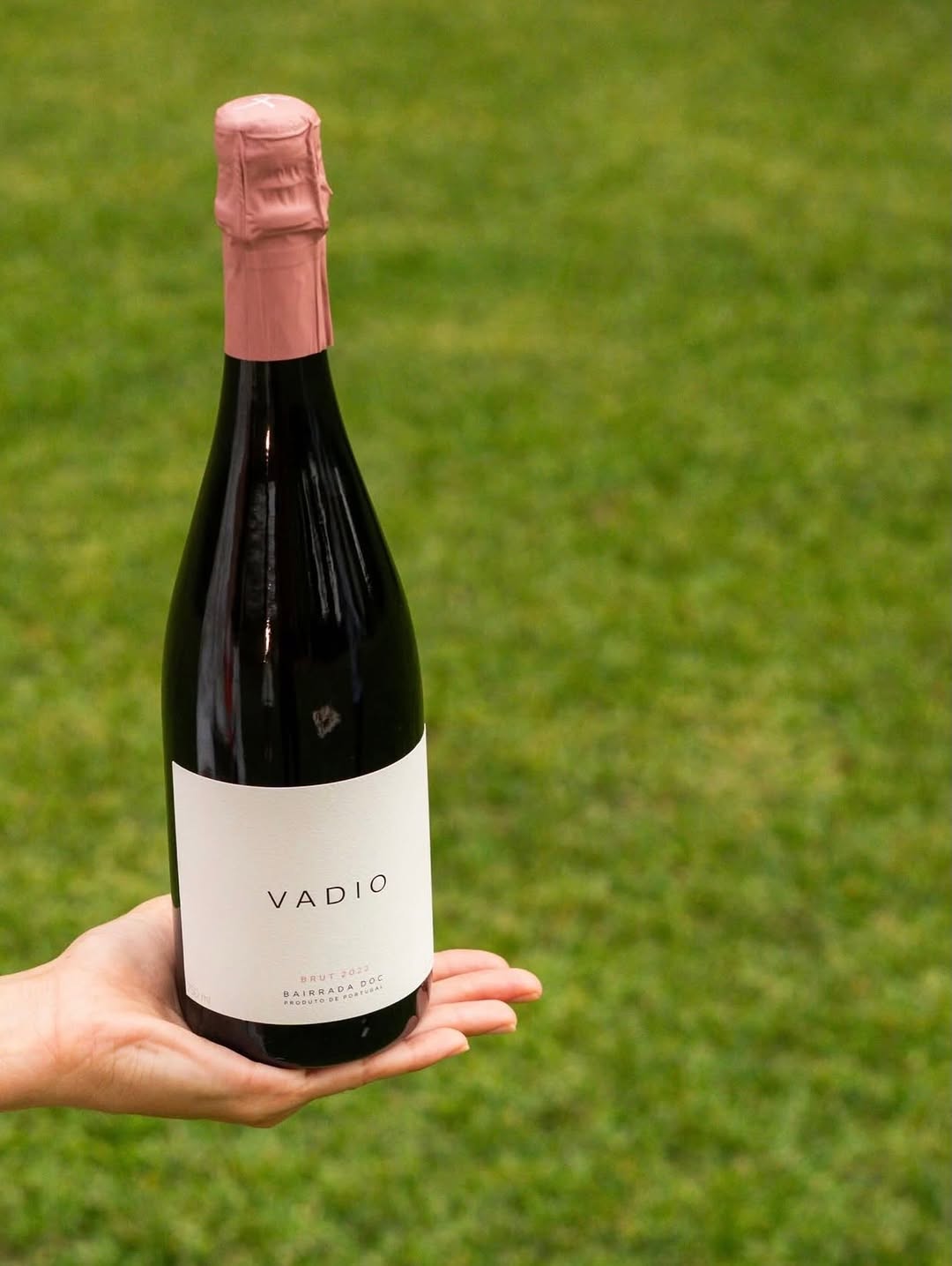 Alba bistro Lisbon food 4