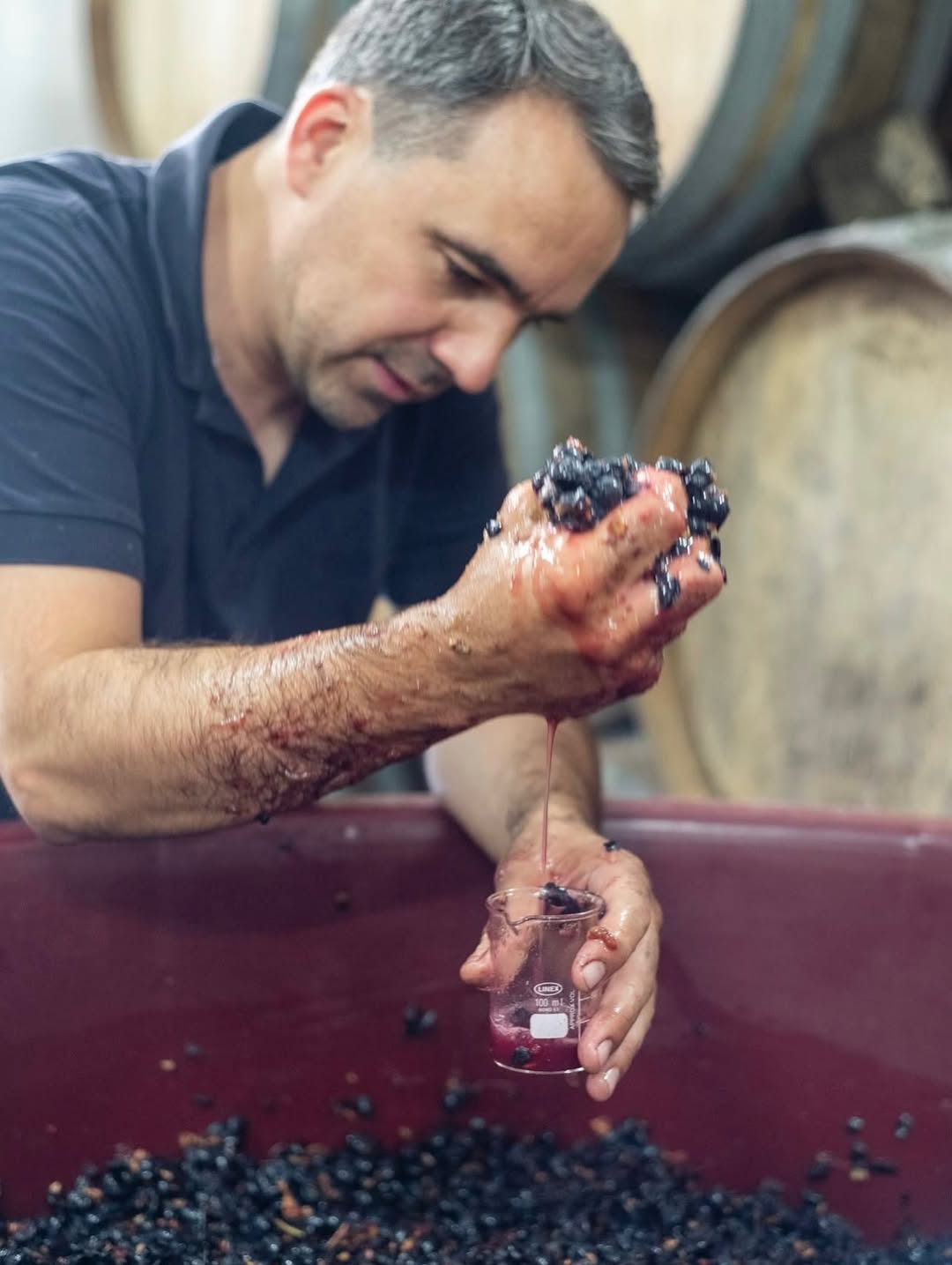 Alba bistro Lisbon food 3